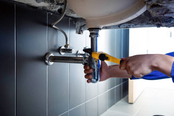 Best Plumbing System Maintenance  in Muscle Shos, AL